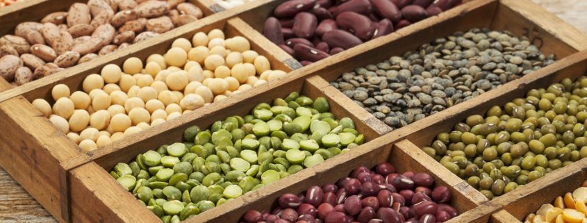 bigstock seeds legumes beans44731063