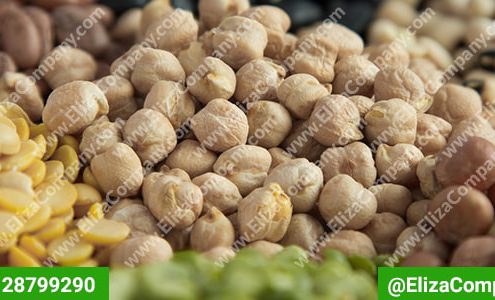 فروش حبوبات مشهد