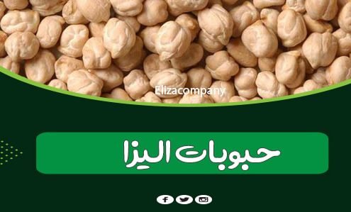قیمت خرید و فروش نخود کرمانشاه
