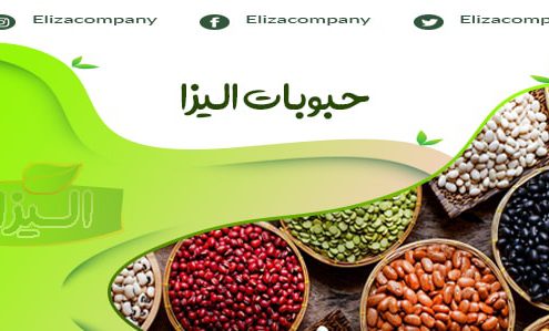 صادرات انواع حبوبات