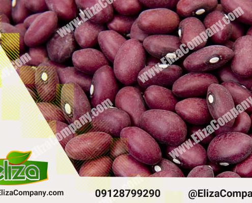 خرید لوبیا قرمز